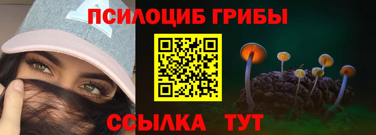 купить закладку  Вход с VPN  Омск  Псилоцибиновые грибы MAGIC MUSHROOMS 